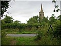 The spire of Great Gidding Church in Great Gidding