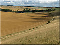 Farmland, East Garston in RG17 7HD
