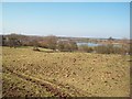 Meadow Overlooking the River Trent in South Derbyshire District