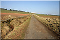 A farm track on Knock Hill in TD4 6BB