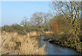 2011 : River Avon near Langley Burrell in SN15 4LP
