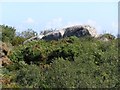 Giant's Rock, near Zennor in TR26 3BT