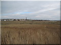 Tummer Hill Marsh, Walney Island in LA14 3EJ