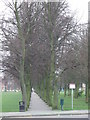 Tree-lined path through Victoria Park, Leicester in LE5 5HR