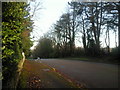 Camden Park Road, Chislehurst in BR7 5EZ