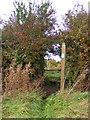 Footpath to Thurstons in Rendham