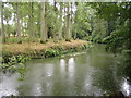 River Mole in Betchworth in RH3 7AE