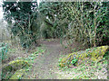 Bridleway skirting Furze Hill, Tharston in NR15 2YL