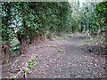 Path on Furze Hill, Tharston in NR15 2YL