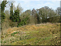 The site of a chalk pit on Furze Hill, Tharston in NR15 2YL