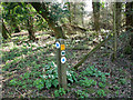 Footpath marker on Furze Hill, Tharston in NR15 2YL