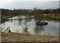 Lake, Williamthorpe Ponds Nature Reserve in S44 5SW