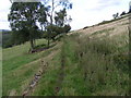 Quarrymen's track, Lodgedale in ST10 4HE