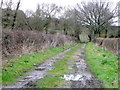 Bridleway near Almer in BH21 4AD