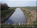 Ditch north of Little Lodge Farm in PE6 0JQ