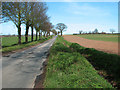 Lane from Strumpshaw to Blofield in NR13 5AP