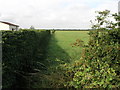 Path to Langham in Anderby