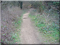 Footpath through Westcott Heath in RH4 3LQ