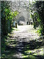 Footpath, Boreham in BA12 9FJ