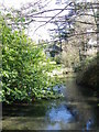 River Wylye, Boreham in BA12 9FJ