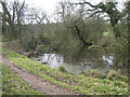 Small Pond, Birchley Hays Wood in CV7 7HW