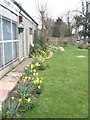 Bedhampton's gone Daff (17) in PO9 1LT