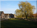 Willows and Farm Buildings, Turners Puddle in DT2 7JB