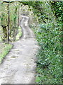 Bridleway, Corfe Mullen in BH21 3SN