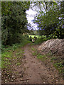 Footbridge at the end of the farm track in NR35 1RF