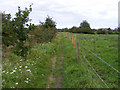 Footpath towards Earsham Dam in NR35 1RF
