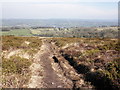 View from the hilltop path, towards Lower Ellick Farm in BS40 7TZ