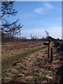 Path junction above East Ley Wood in YO62 5LT