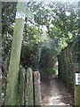 Footpath from Back Lane towards Newton Poppleford in Newton Poppleford