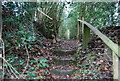 Steps on the footpath to Speldhurst in TN3 0TE