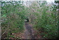 Footpath to Smockham Farm in TN3 0TA