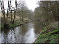 River Bollin in WA15 0ES