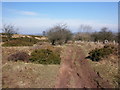 Track through the Mendip Hills in BS40 7TY