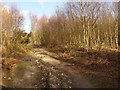Path, Headley Heath in KT18 6PN