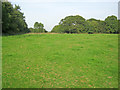 Grazing land on the Stowe Estate in MK18 5AL