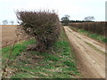 Croughton Lane west of Tattersett in Norfolk in PE31 6TA
