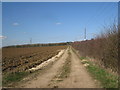 Farm track towards Coleby in Boothby Graffoe