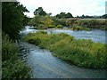Braided stream on the River Dove in ST14 5BP