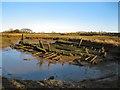 Wreck of the 'Rose' at Beaumont Quay in CO16 0BE