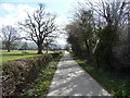 Walkway and cycleway between Trefriw and Llanrwst in LL27 0RQ