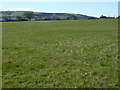 Pasture land by Ham Farm in BN8 5FQ