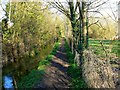 The River Thames and the Thames Path, west of Ashton Keynes in SN6 6QR