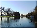 The Thames at Datchet, looking upstream in SL3 9BY