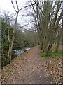 Riverside path, Newbattle Abbey in EH22 2GQ