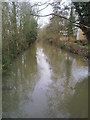 A branch of the River Cherwell in OX1 3UQ