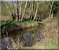 River Worfe south-west of Beckbury, Shropshire in TF11 9DQ